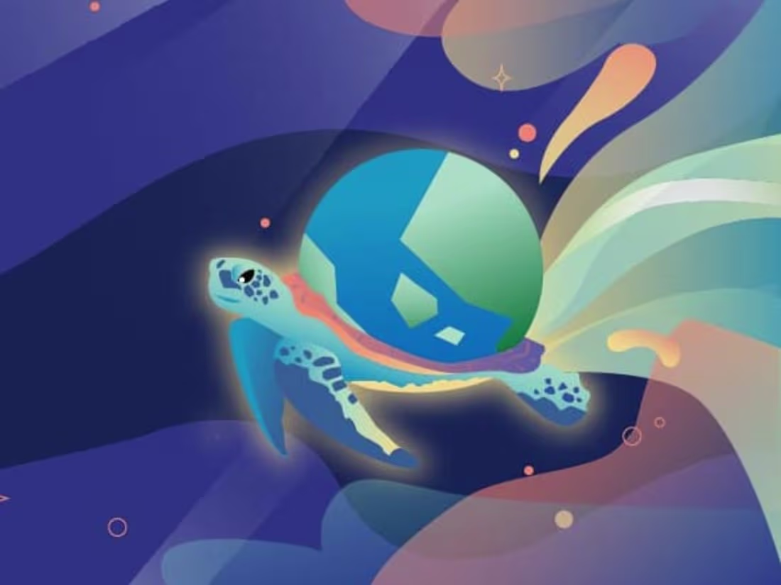 Cover image for Little Turtle 