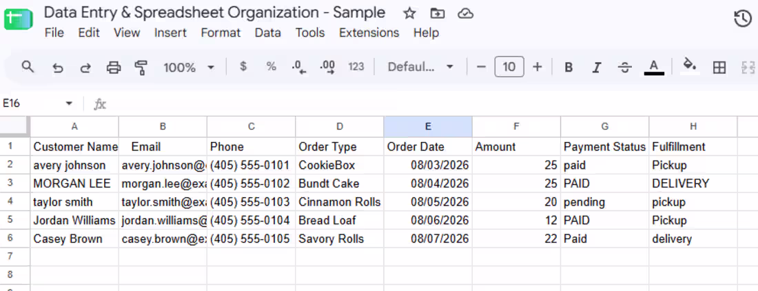 Cover image for Data Entry - Raw Spreadsheet