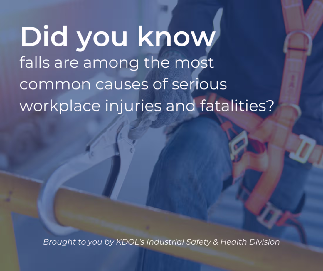 Cover image for Workplace Safety