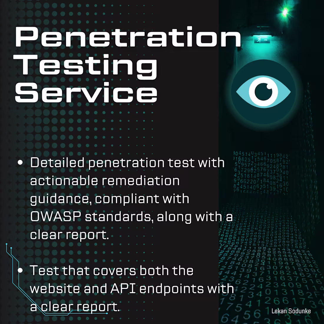 Cover image for Professional Penetration Testing with OWASP-Based Report