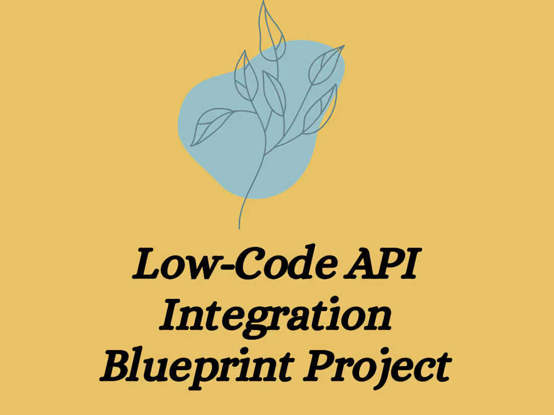 Cover image for Low-Code API Integration Blueprint Project