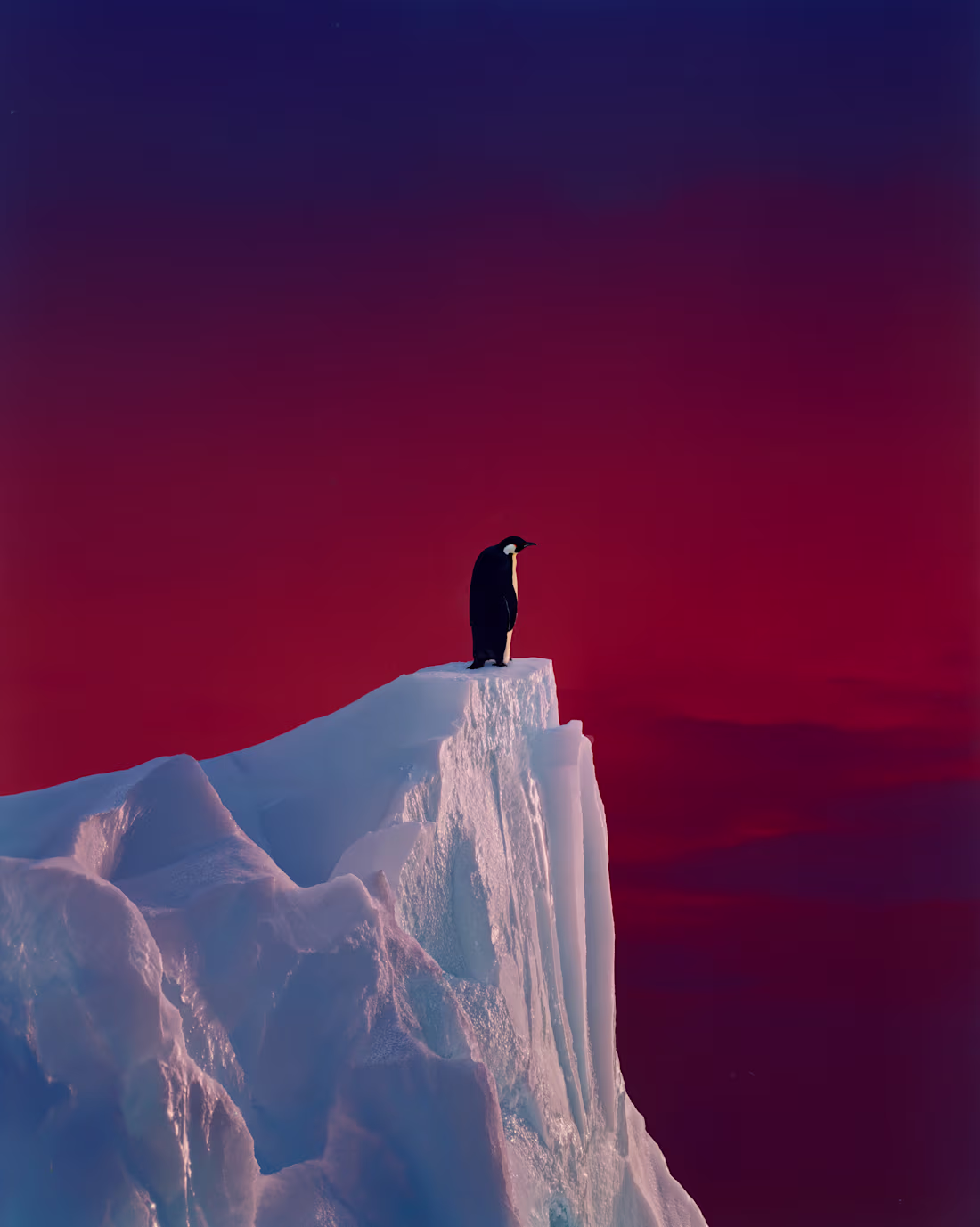 Cover image for THE ICE ODYSSEY

There is no