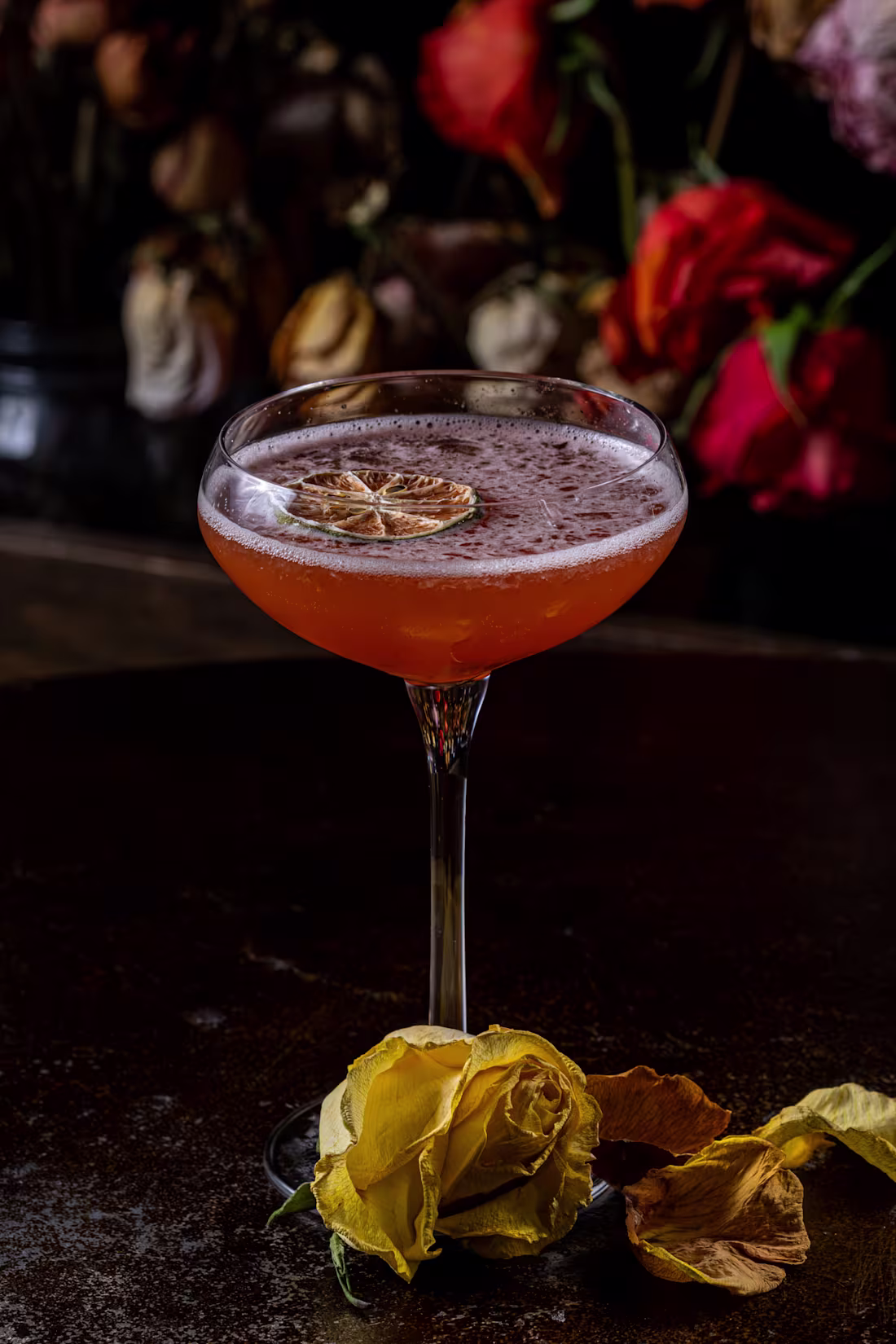 Cover image for Bar Louis — Editorial Photography