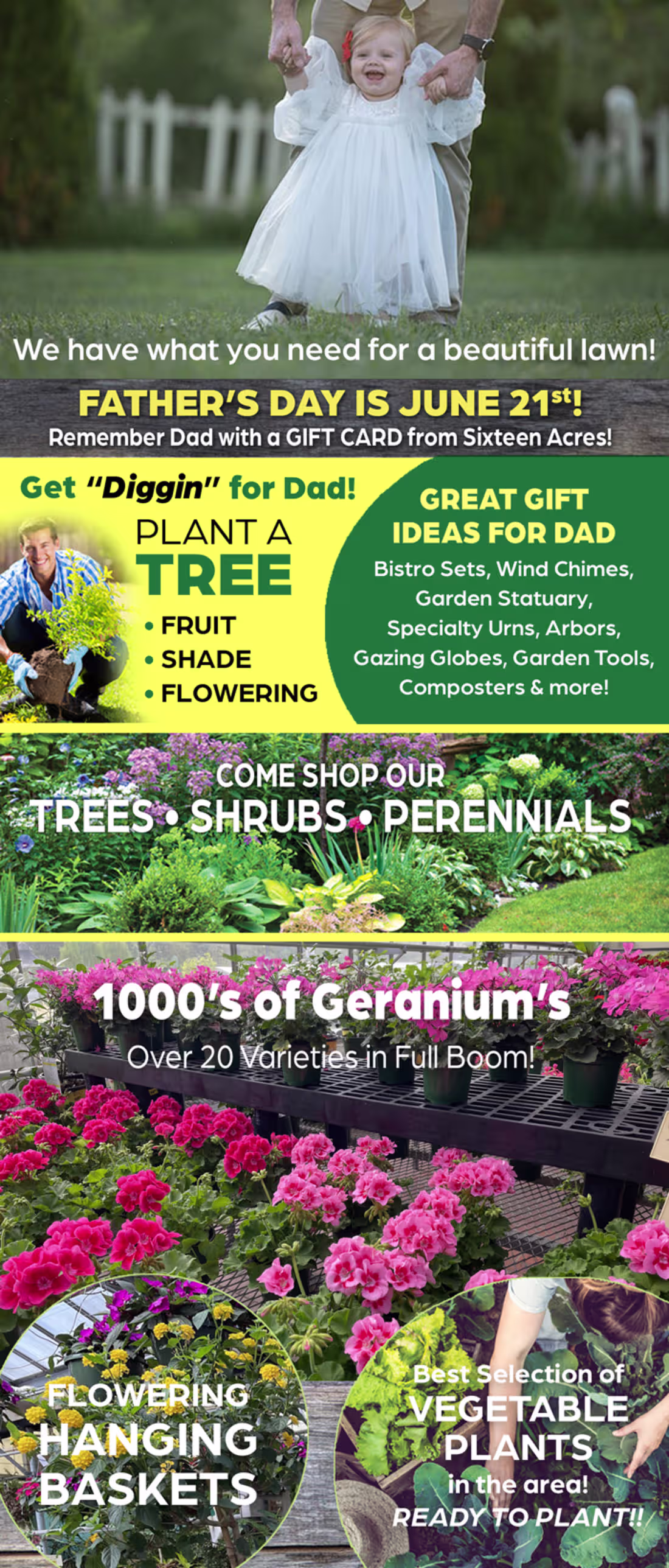 Cover image for A selection of promotional email