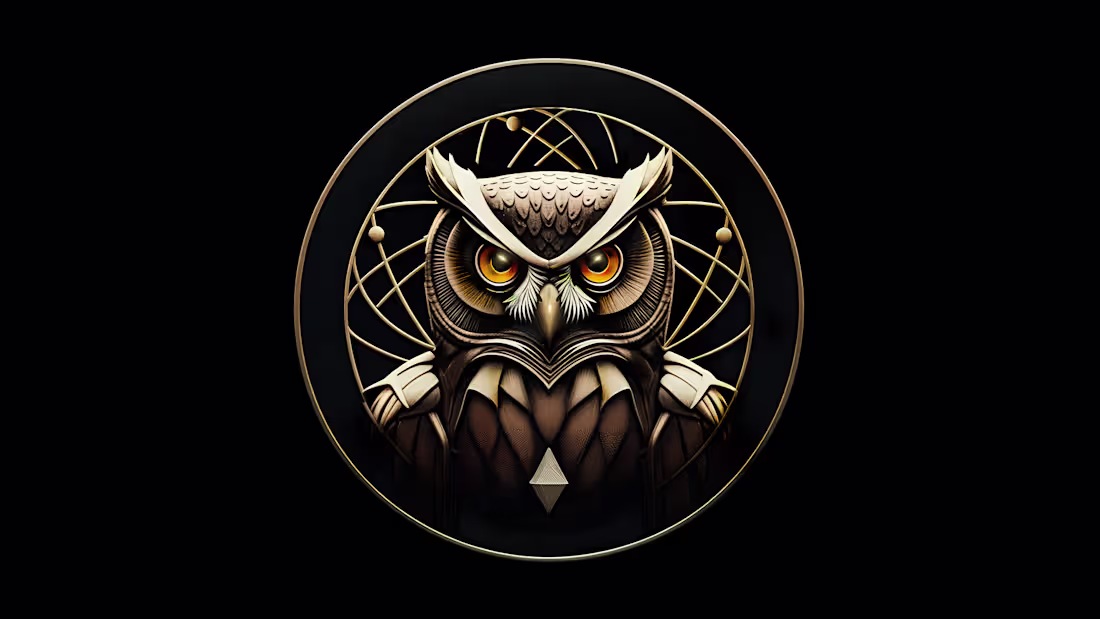 Cover image for The OWL represents clarity through