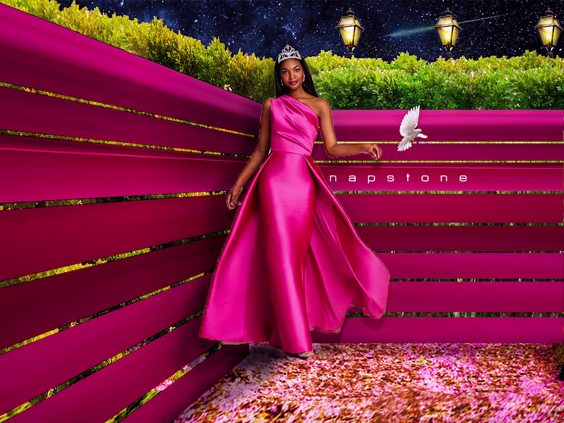 Cover image for Pink Houses [Not related to the American classic song lol]