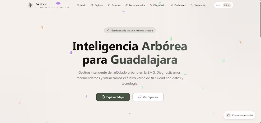 Cover image for Guadalajara's urban tree census lists