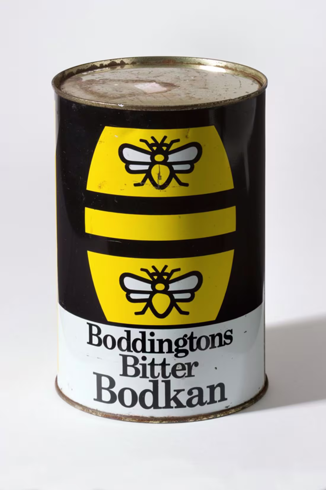 Cover image for Blog Post: How bees have helped change the world