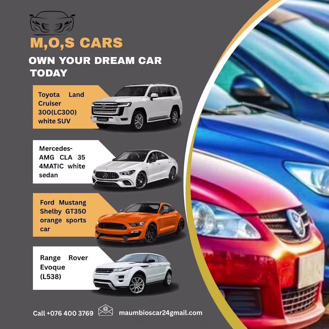 Cover image for Just finished this car dealership