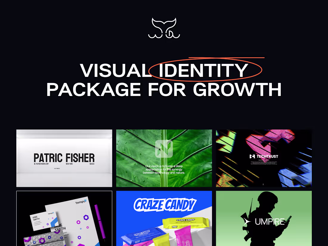 Cover image for Visual Identity Package For Growth