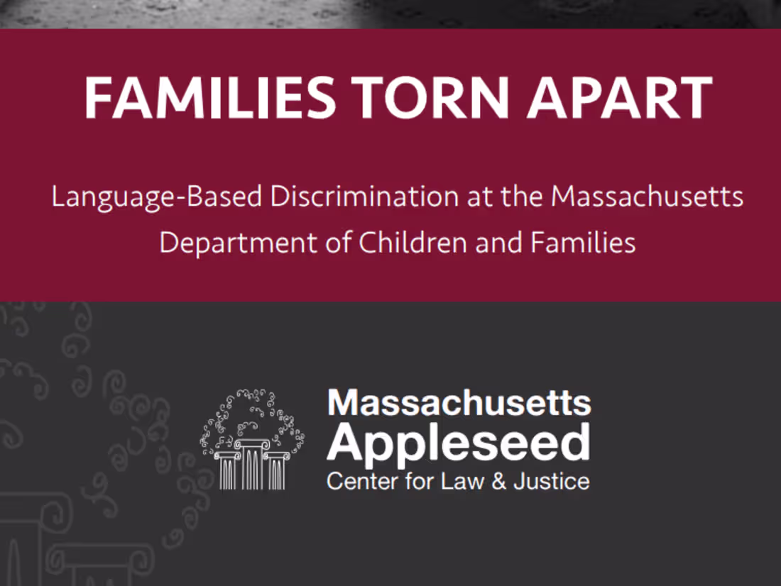 Cover image for Language Discrimination Research