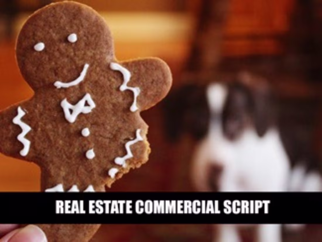 Cover image for Funny Real Estate Ad #2