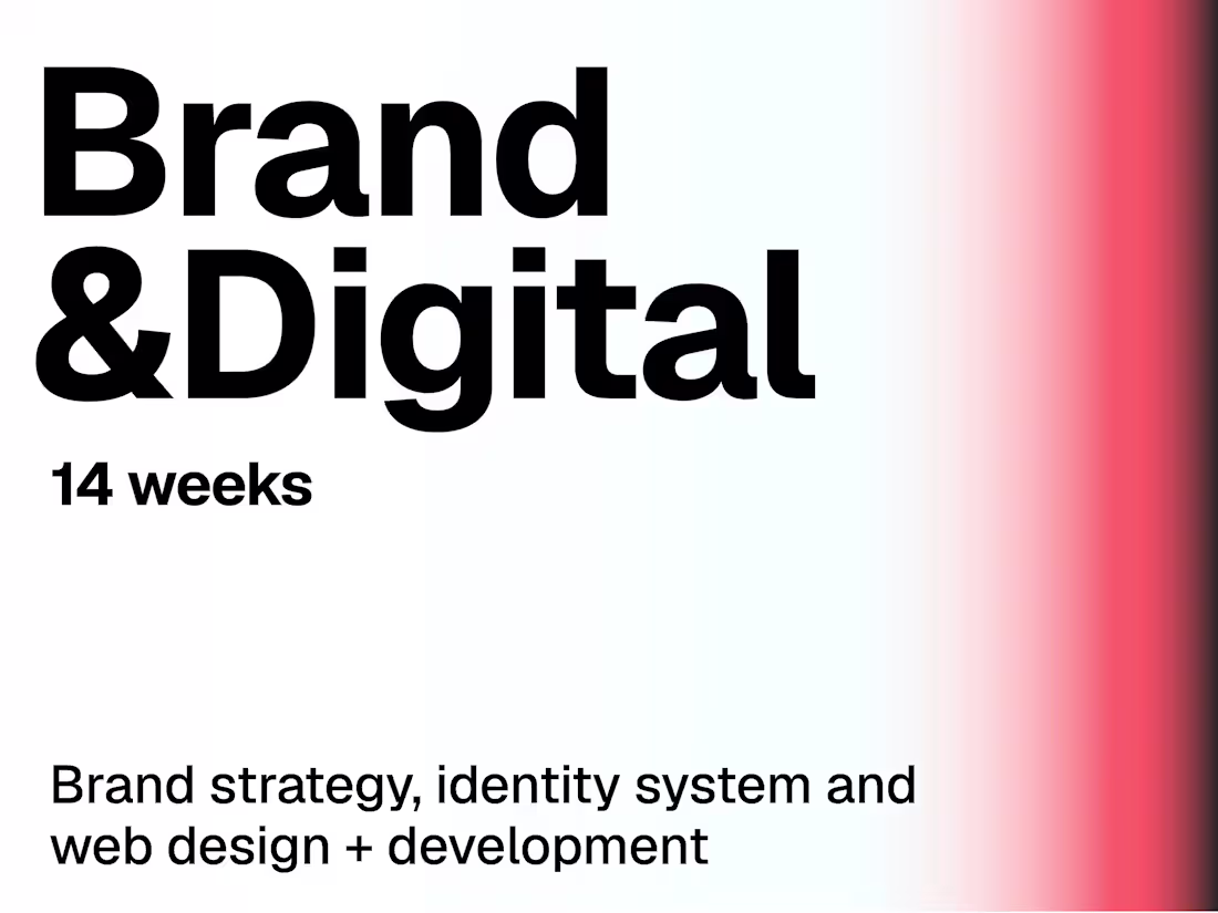 Cover image for Brand & Digital Launch