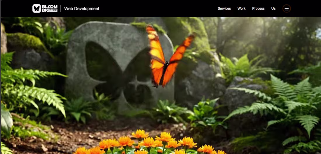 Cover image for A visually rich landing page