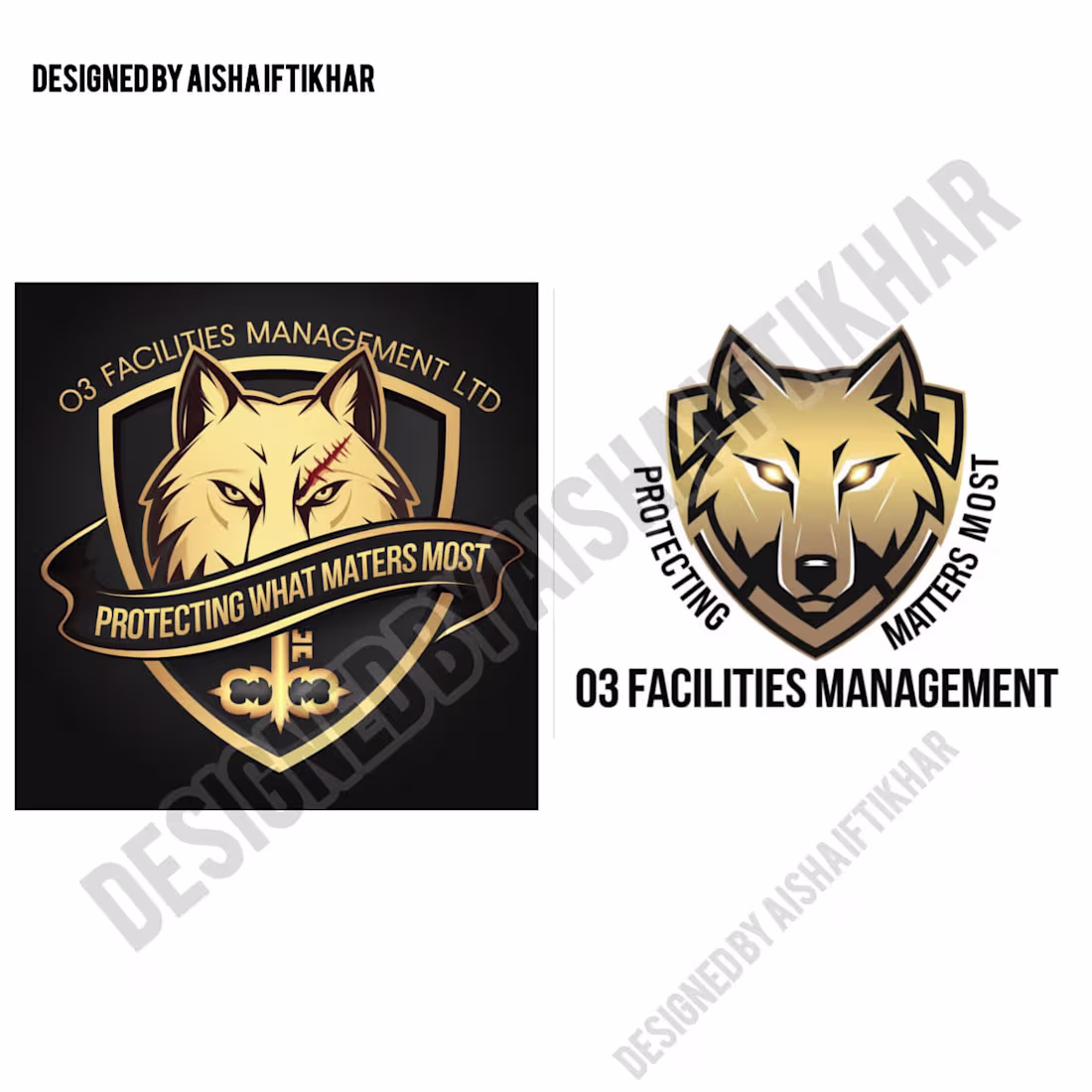Cover image for Highly creative logo's for an international client