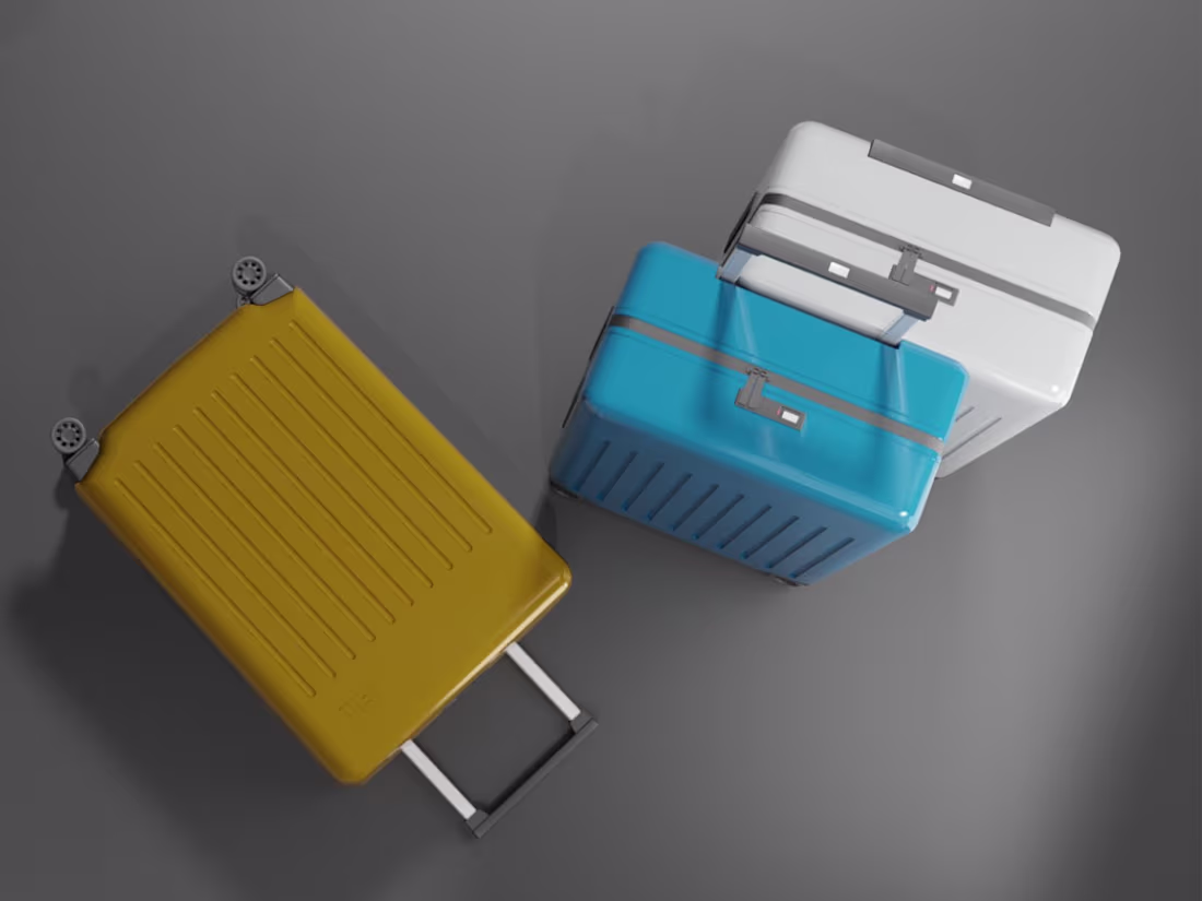 Cover image for The Suitcase