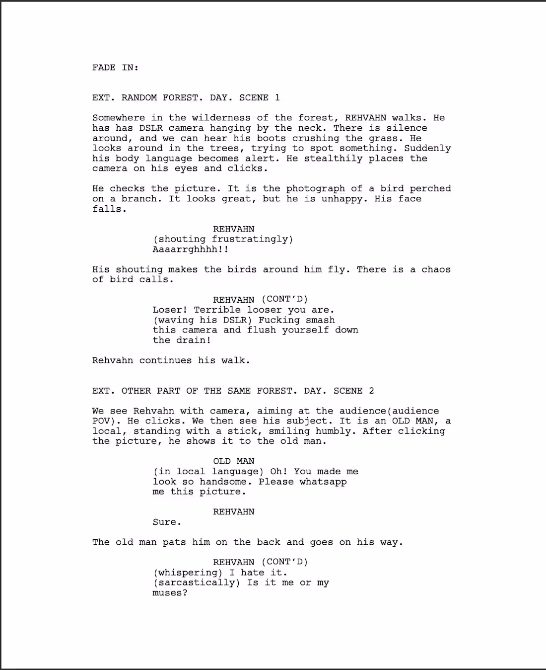 Cover image for I'll develop your rough idea into a formatted screenplay