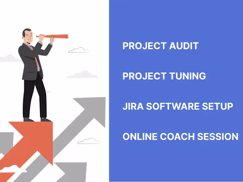 Cover image for Project audit and management