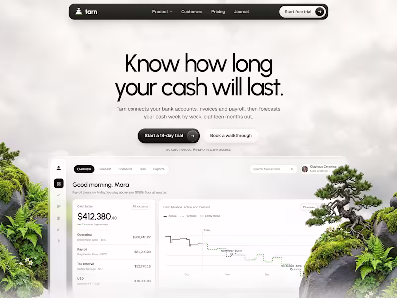 Cover image for Tarn: Cash-Flow Forecasting Website