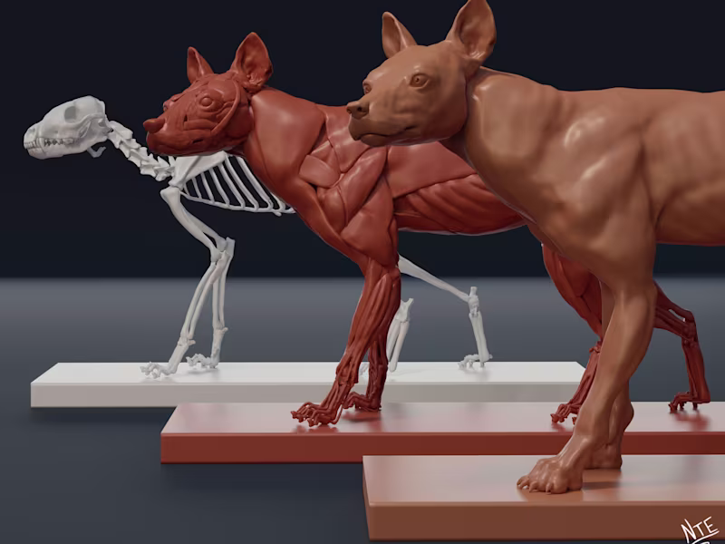 Cover image for 3D Sculptures Design