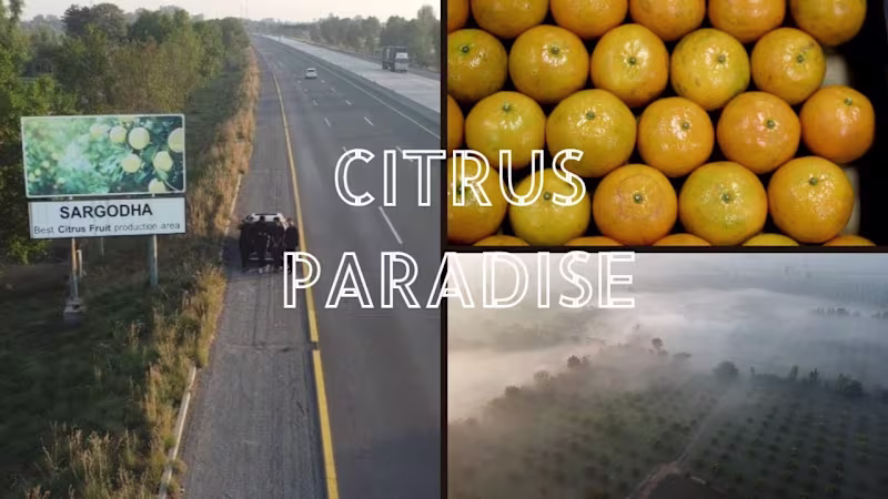 Cover image for THE CITRUS PARADISE KOTMOMIN SARGODHA ( A Docomentary by Fary…