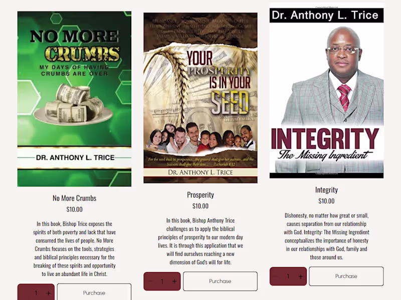 Cover image for E-Book Publishing and Marketing Strategies