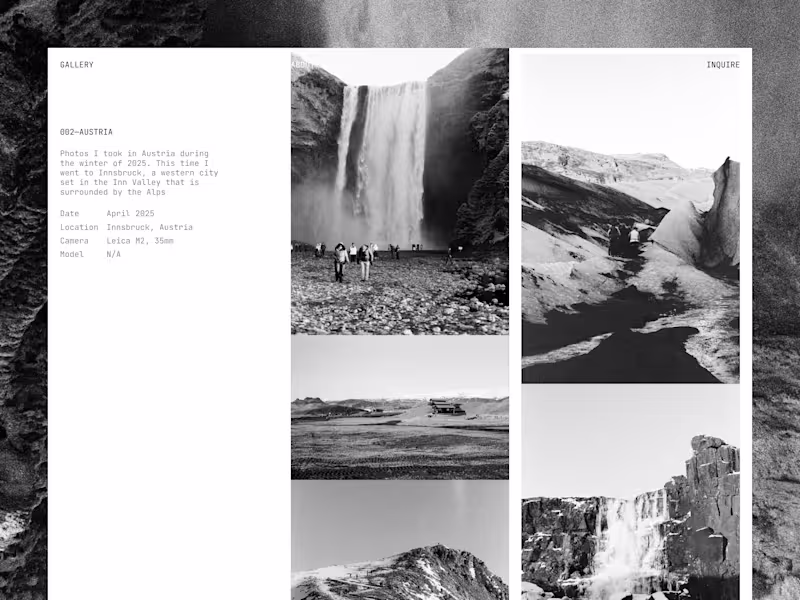Cover image for Analog Photography Gallery