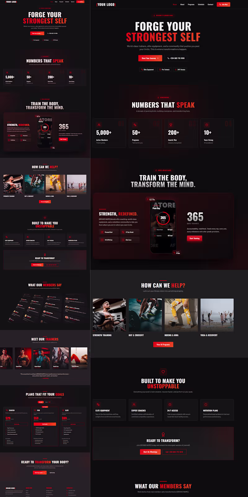 Cover image for Gym & Fitness Brand: Website & Video Ad