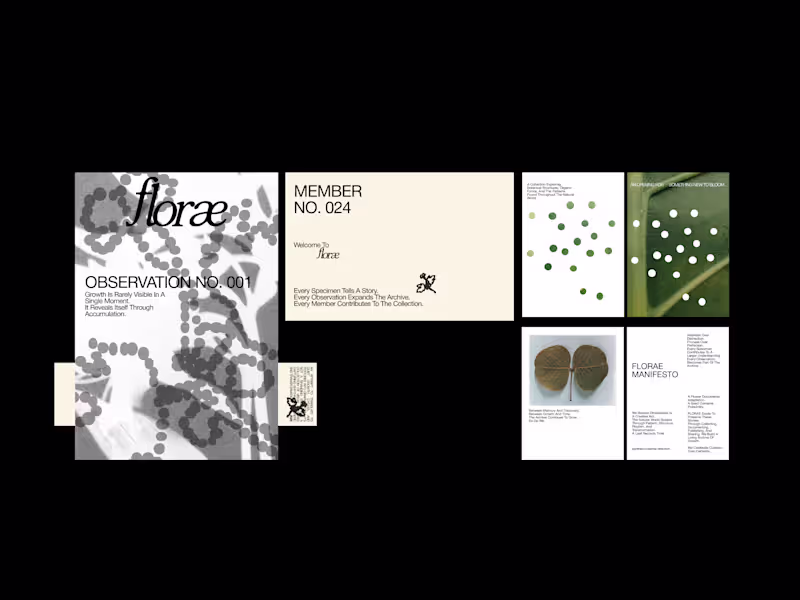 Cover image for What if a botanical brand