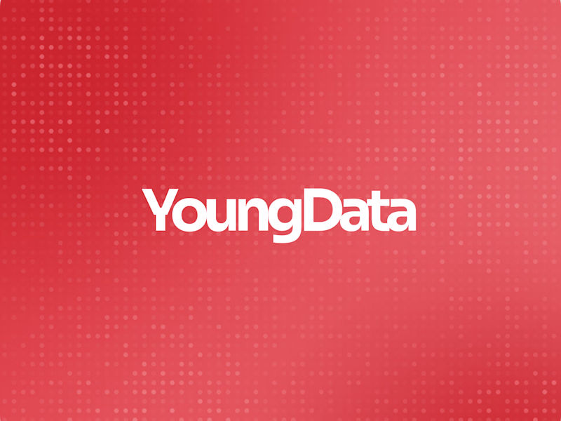 Cover image for Youngdata: A Webflow Integration Tailored for Impact
