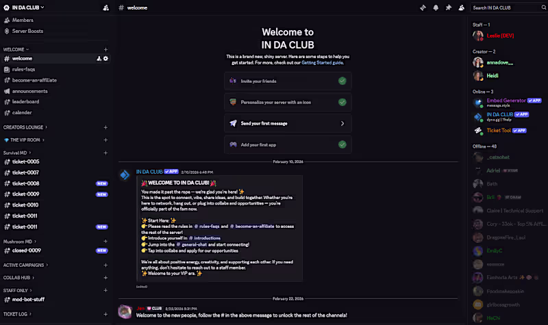 Cover image for Discord Server Design & Community
