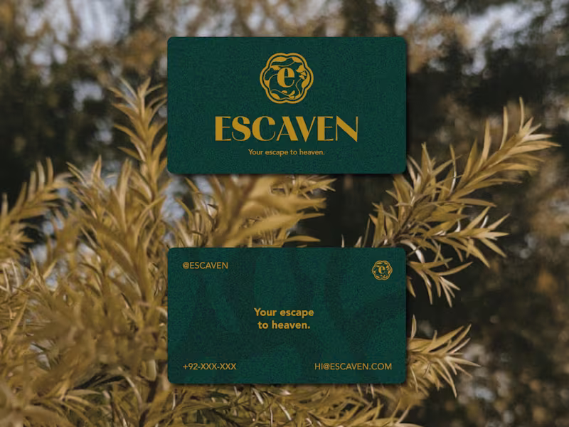 Cover image for Branding & Visual Identity Design