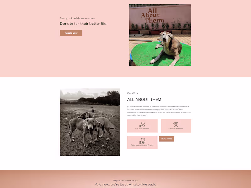 Cover image for NGO Website