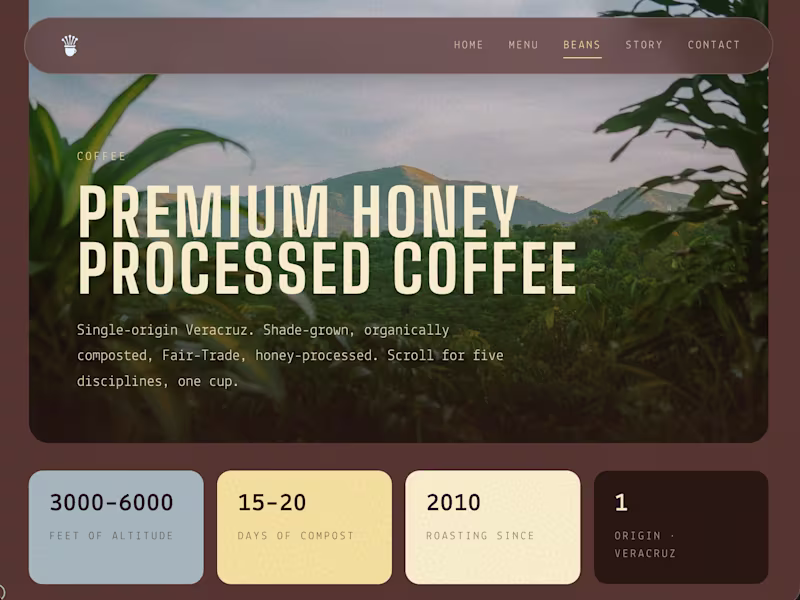 Cover image for Baja Beans Site Retainer Project