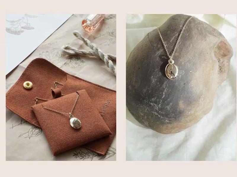 Cover image for The Locket Project
