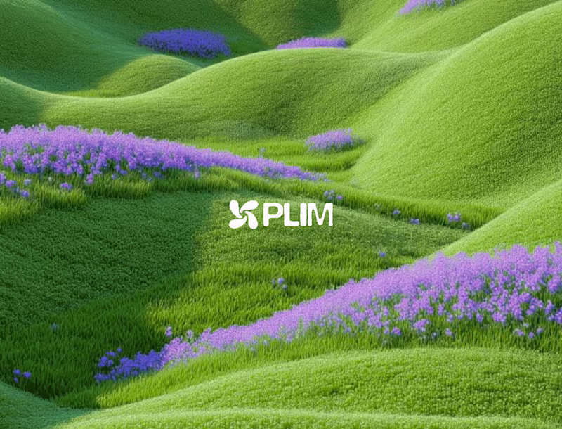 Cover image for Plim