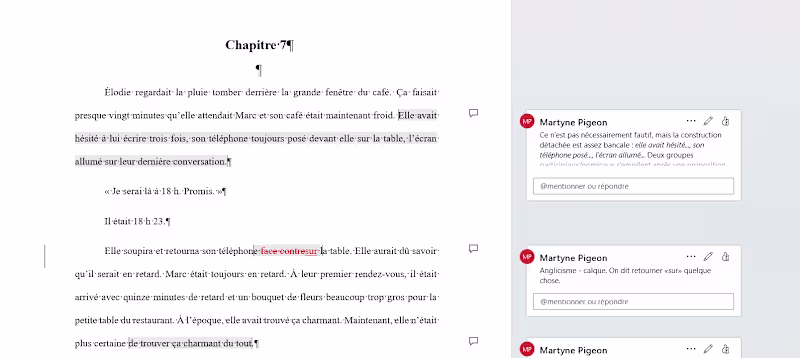 Cover image for French Fiction Proofreading & Linguistic Review