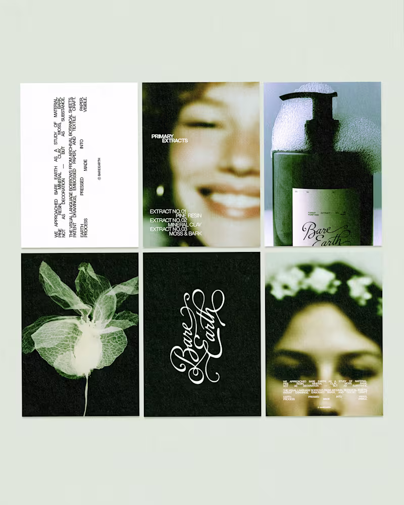 Cover image for Bare Earth /branding/