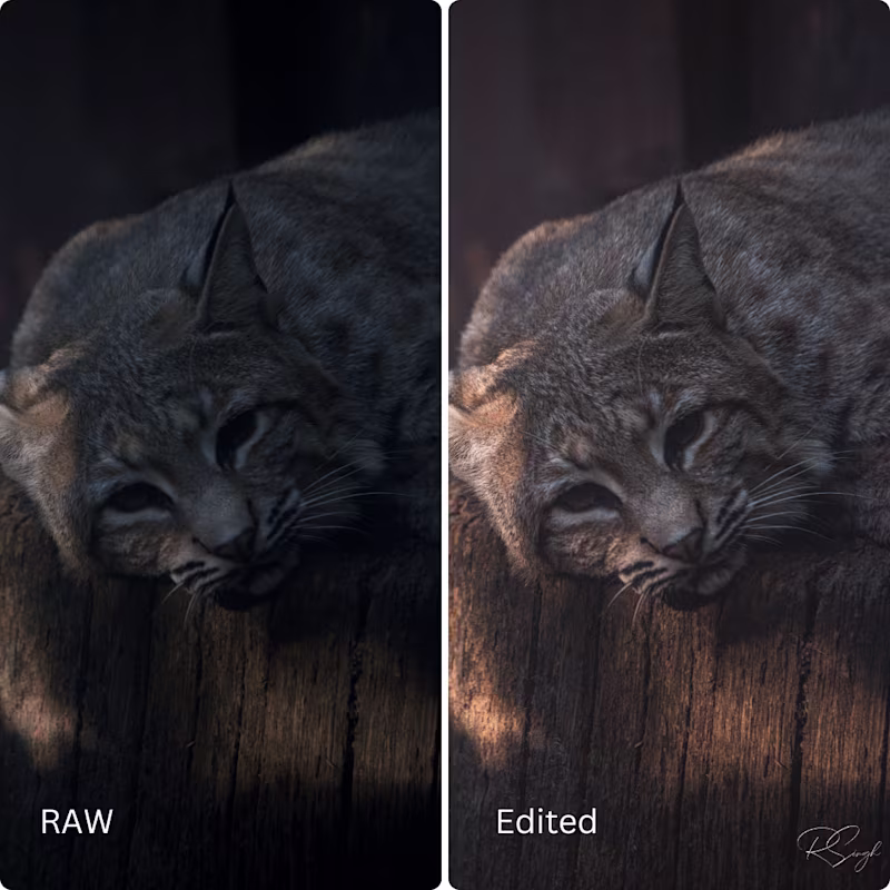 Cover image for Photo Editing/Retouching Portfolio