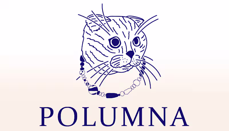 Cover image for Branding & packing for POLUMNA (UA handcrafted jewelry) on Beha…