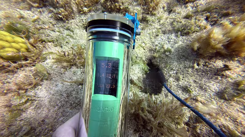 Cover image for From red and blue traces