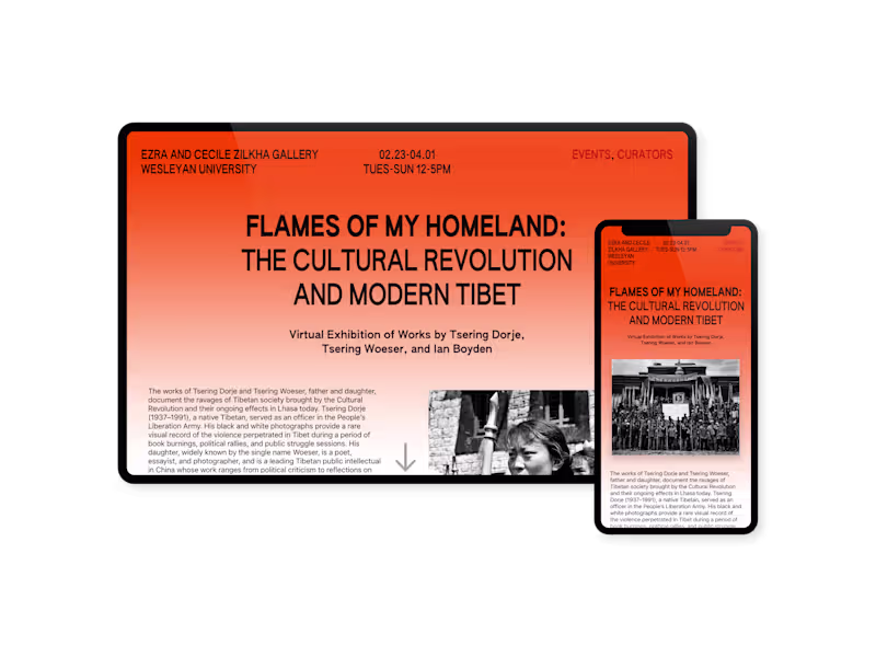 Cover image for flamesofmyhomeland.org