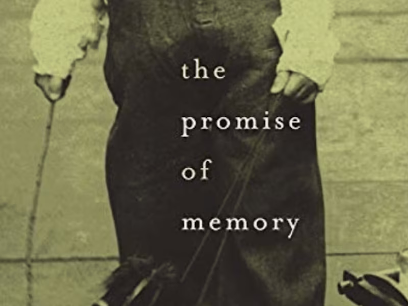 Cover image for The Promise of Memory