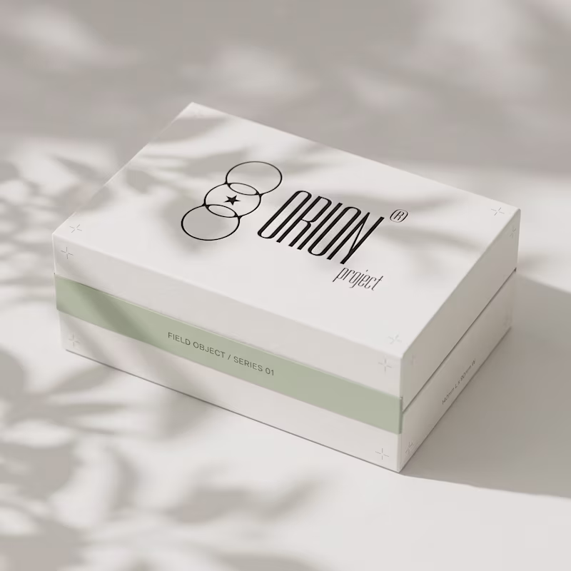 Cover image for Orion Brand Identity Project