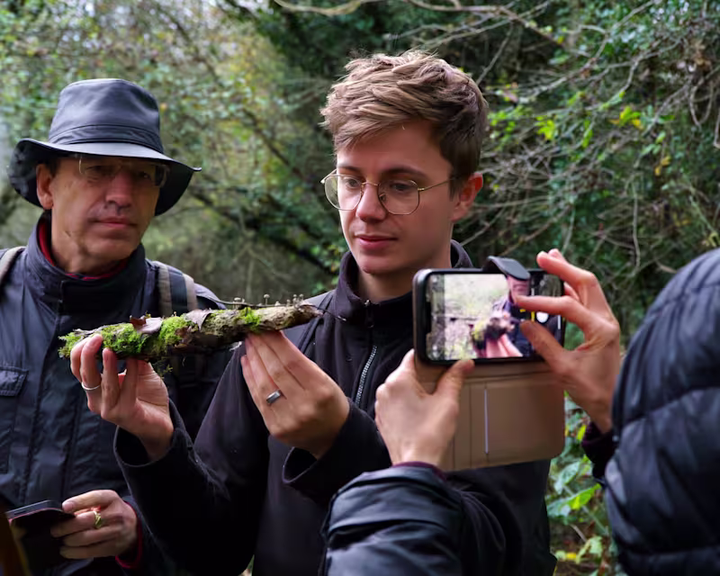 Cover image for Public engagement event: Wildlife Trust Fungi Walk 