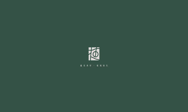 Cover image for Zhi Clinic Visual Identity Development