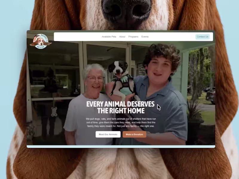 Cover image for Framer Website Design & Development
