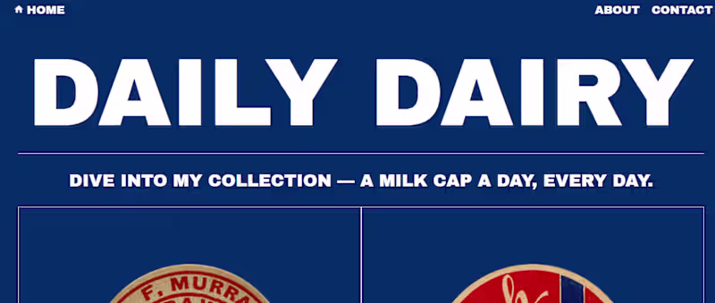 Cover image for Daily Diary