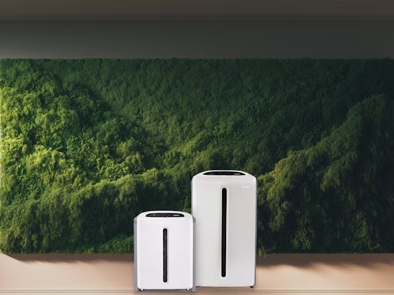 Cover image for Clean Air Solutions