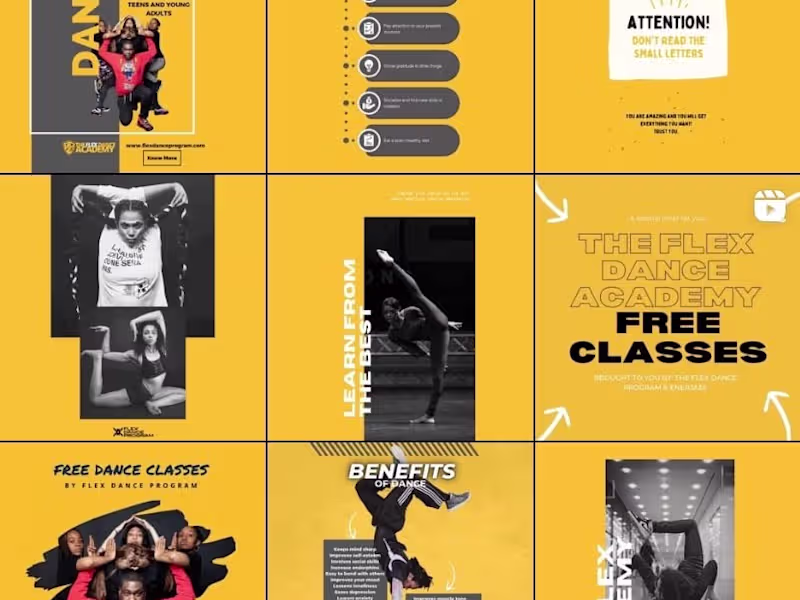 Cover image for Branding For The Flex Dance Program